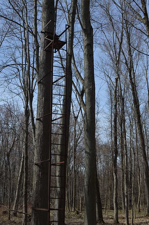Property photo 109 - REAL ESTATE & PERSONAL PROPERTY AUCTION, 140 Acres offered in 8 Tracts or Combinations in Steuben County